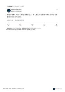 XPost AI Checker 個別エビデンス2ページ目